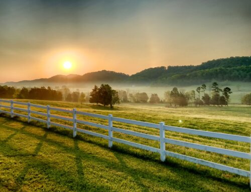 Discover the Charm of Tennessee: Moving to the Heart of the Volunteer State
